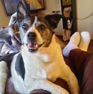 Meet your Posher, Polly